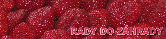 Ivan Hričovský profesor záhrada banner
