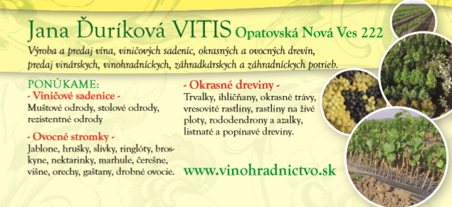 jana durikova vitis