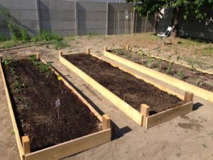 vyvýšené záhony záhrada zelenina pôda