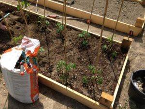 vyvýšené záhony záhrada zelenina pôda