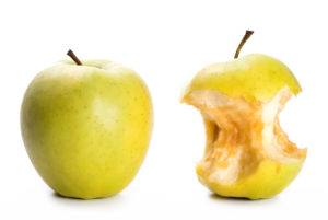ein Apfel und ein Apfelgriebsch vor weißem Hintergrund
