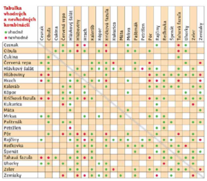 tabuľka zelenina záhrada rastliny vhodný