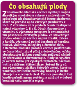 černice blackberry drobné ovocie