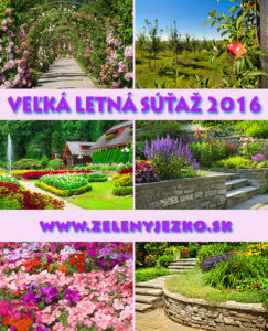 VELKA-LETNA-SUTAZ_2016