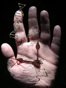 dlhovekosť DNA aging staroba gén