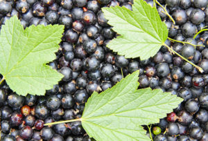 dreamstime_xl_35308396