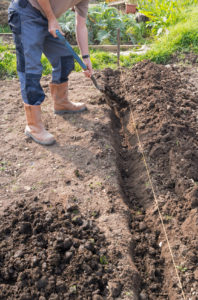 rýľovať záhrada spade