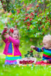 dreamstime_xl_56409777