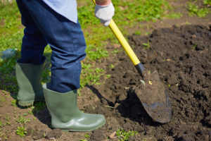 kopať rigolovať výsadba digging