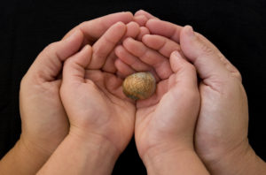 dreamstime_xl_1455319